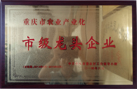 市級龍頭企業（2014）