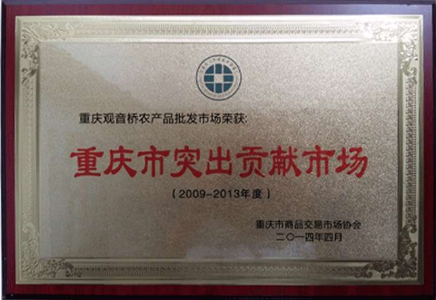 突出貢獻市場（2009-2013）